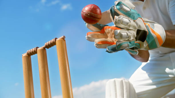 Wicketkeeper catching cricket ball on ground against sky.